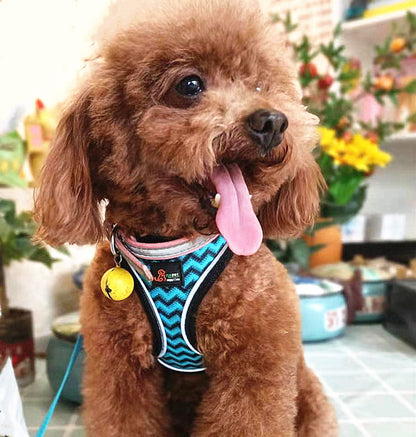 Anti-stroke Reflective Dog Chest Back Cat Leash Pets Gym From House Blue 1.5meters