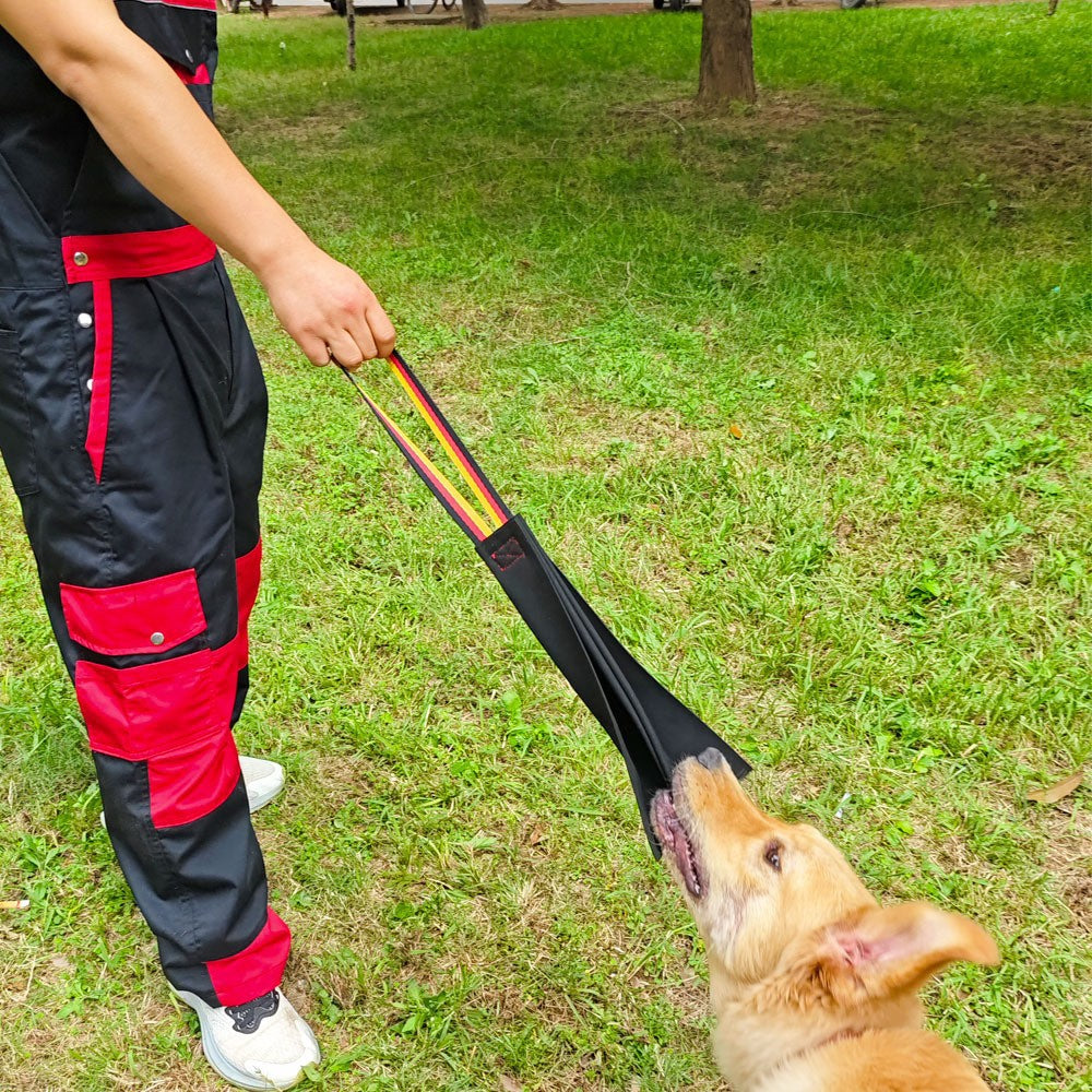 Crazy Horse-dog Bite Cloth Dog Training Bite Pet Toy Pets DealSniper.net