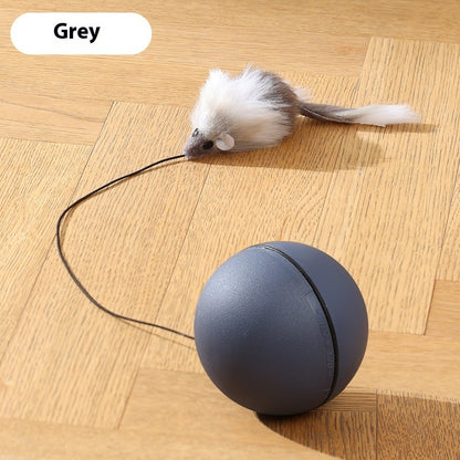 Cat Toys Mouse Teaser Ball Funny Moving Toy For Pets Pets dealsniper-net Dark Gray Automatic Cat Teasing Ball