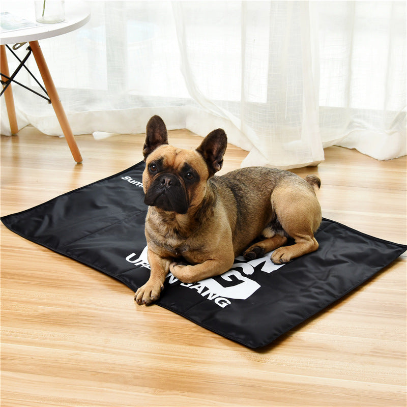 Dog Bite Prevention Mat In Summer Pets Gym From House