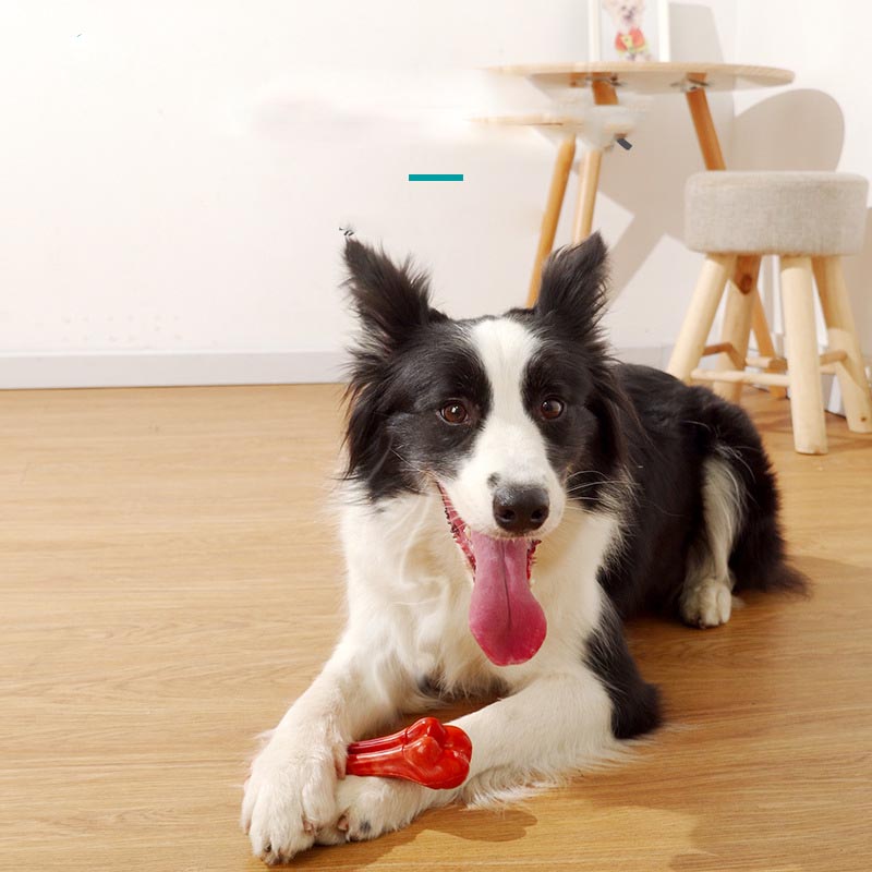 Pet Toy Chew Resistant Dog Molar Stick Pets Gym From House