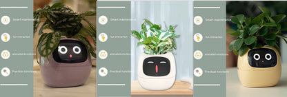 Smart Planter Endless Fun Over 49 Rich Expressions