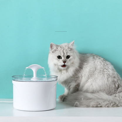 Pet Dog Cat Water Fountain Electric Automatic Water Feeder Pets Gym From House