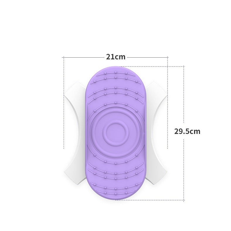 Household Fitness Equipment Separate Twist Waist Turntable Double Pedal Sports DealSniper.net