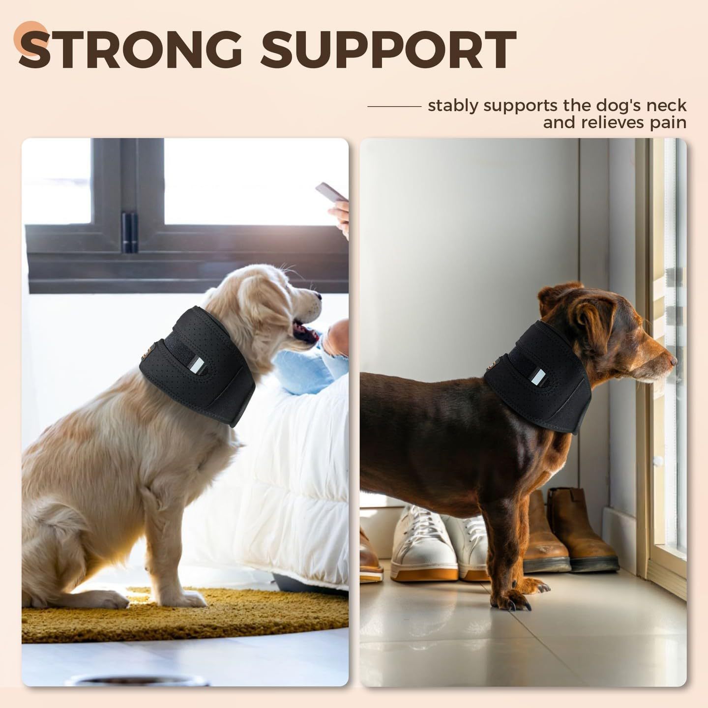 NEW Dog Support Collar Collar Anti-licking Sprained Pets Gym From House