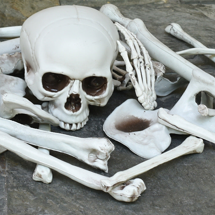 a8a87591fe6b0ad81af1078b0a0e3e51