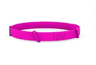 Pet Collar Silicone Adjustable Dogs And Cats Collar Protection Pets dealsniper-net Rose Red Cat Style Aluminum Boxed