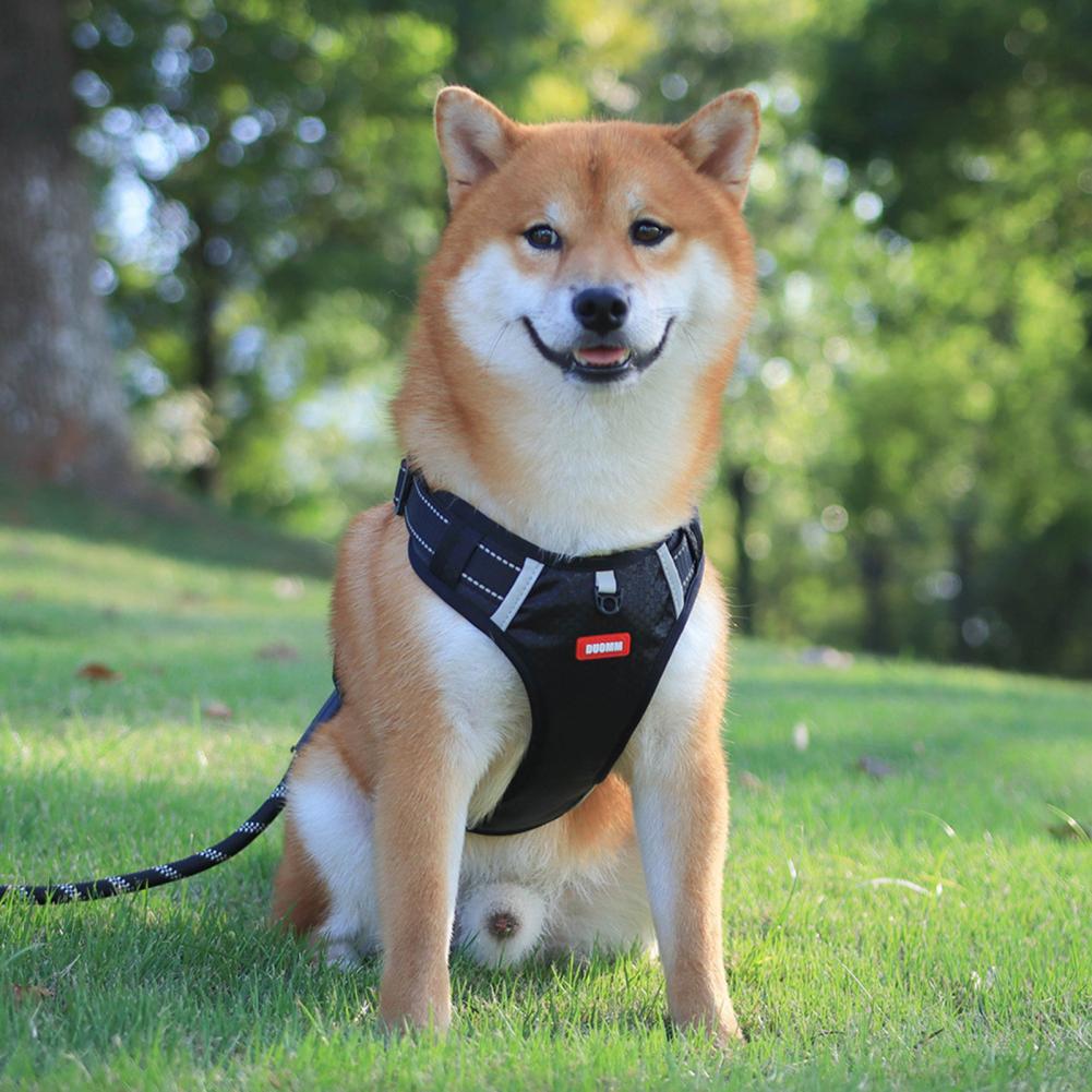 Nylon Dog Harness No Pull Breathable Reflective Pet Harness Pets Gym From House