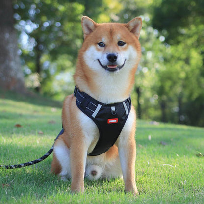 Nylon Dog Harness No Pull Breathable Reflective Pet Harness Pets Gym From House
