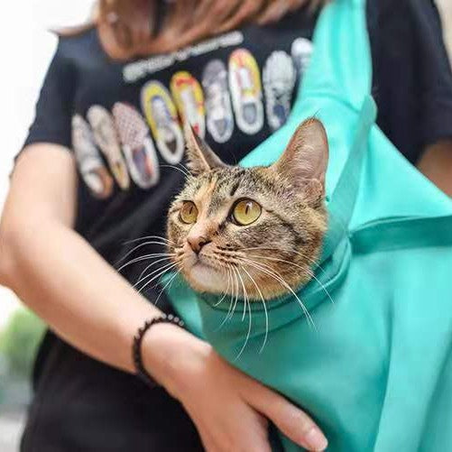 Cat Carrier Pouch Cat Carrier Bag Ai Recorder Gym From House