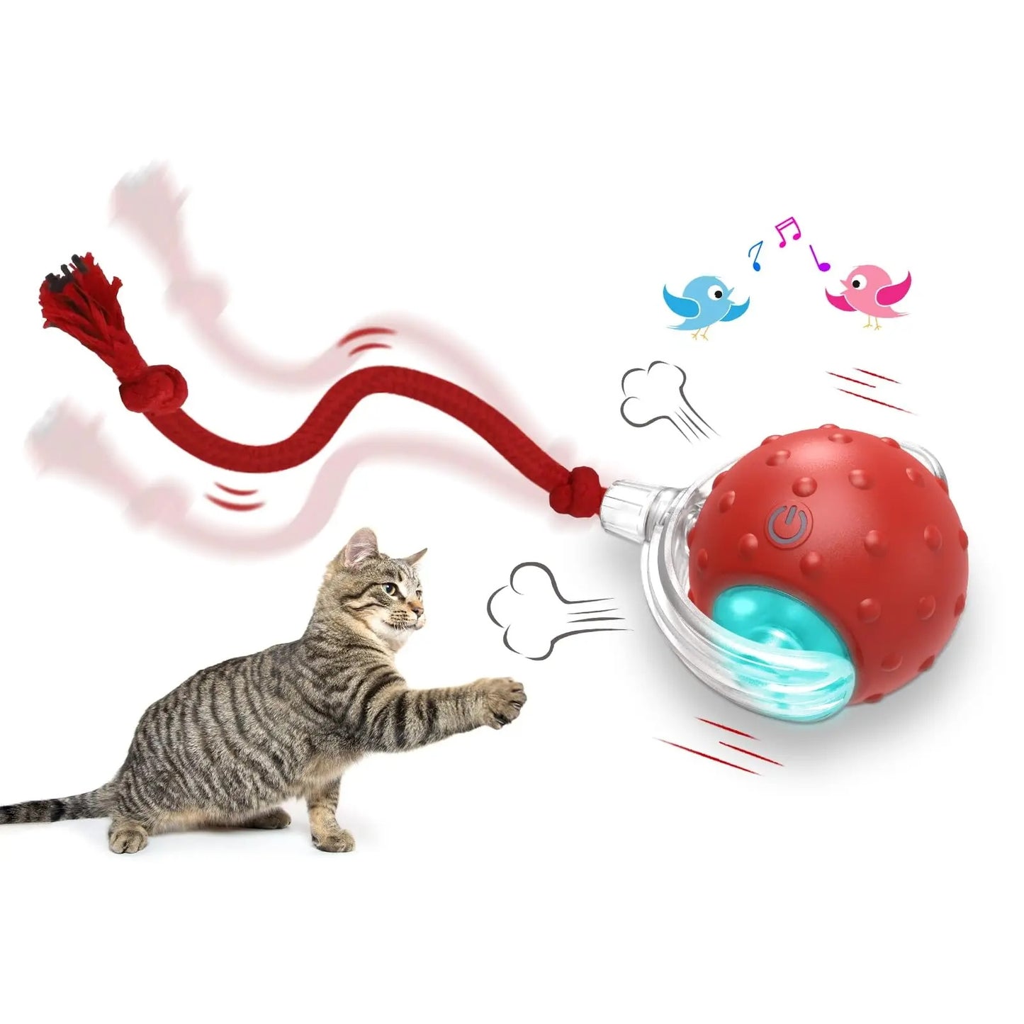 Interactive Cat Toy Ball Super Drive Cat Rolling Ball Pets Gym From House