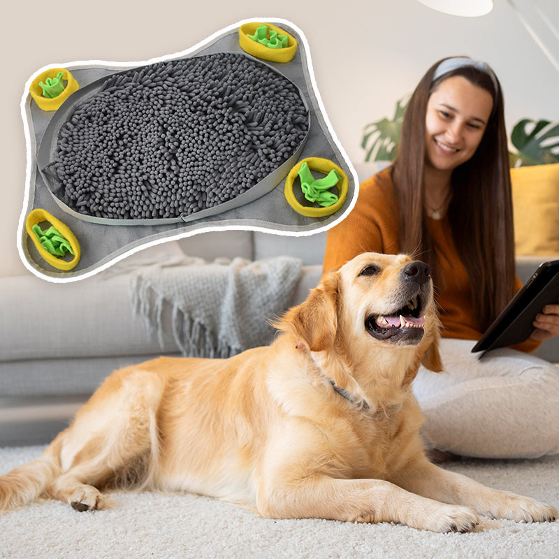 Dogs Snuffle Mat Pet Leak Food Anti Choking Mat Cat Dog Training Pets Gym From House