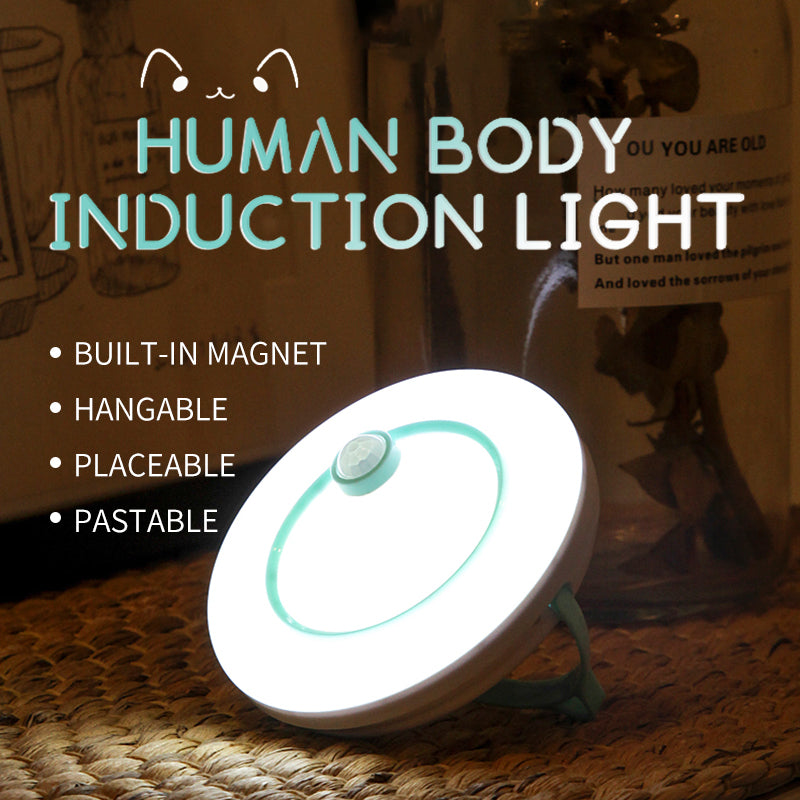 Human Body Induction Light LED Small Night Light Charging Home Decor Gym From House
