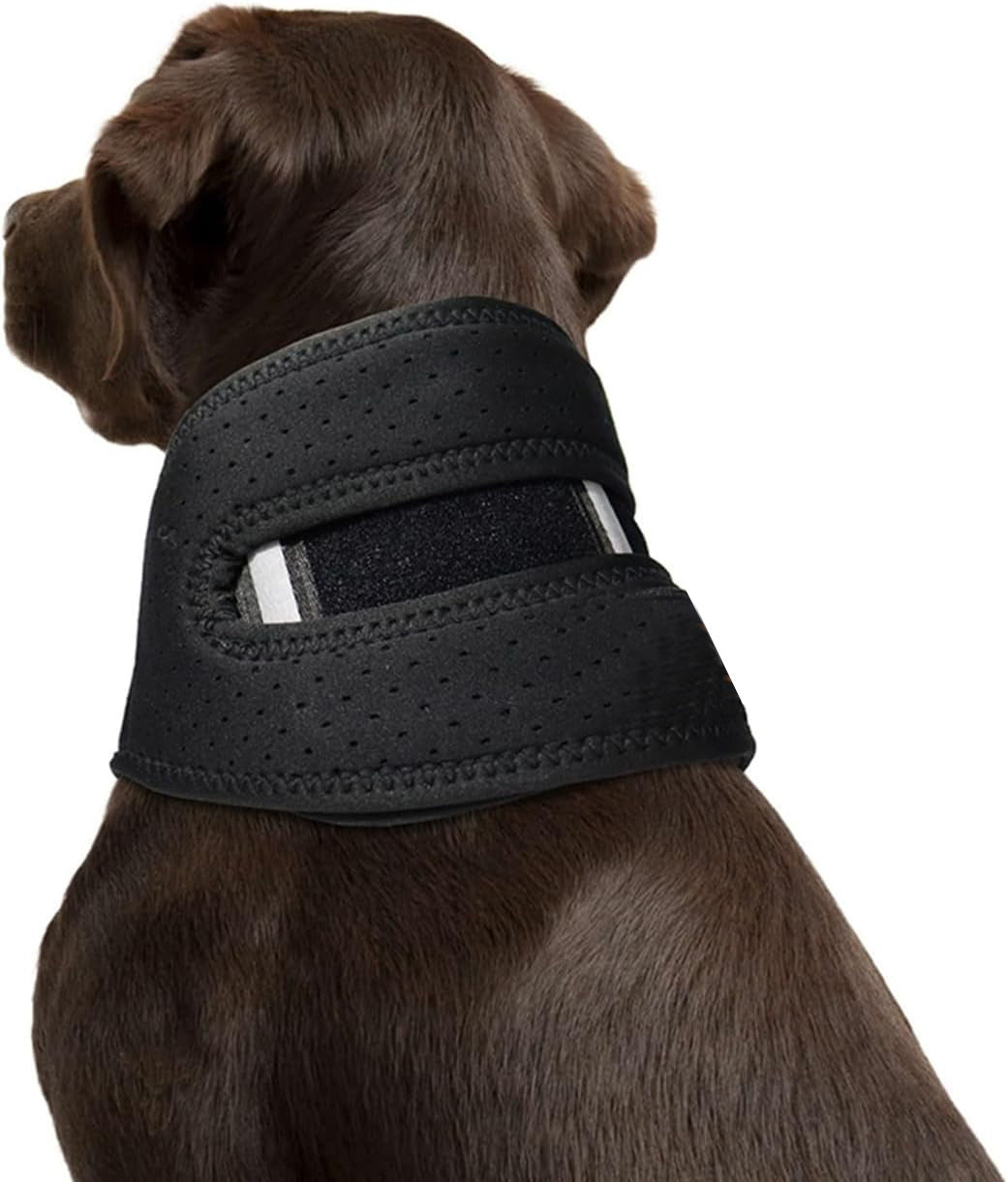 NEW Dog Support Collar Collar Anti-licking Sprained Pets Gym From House
