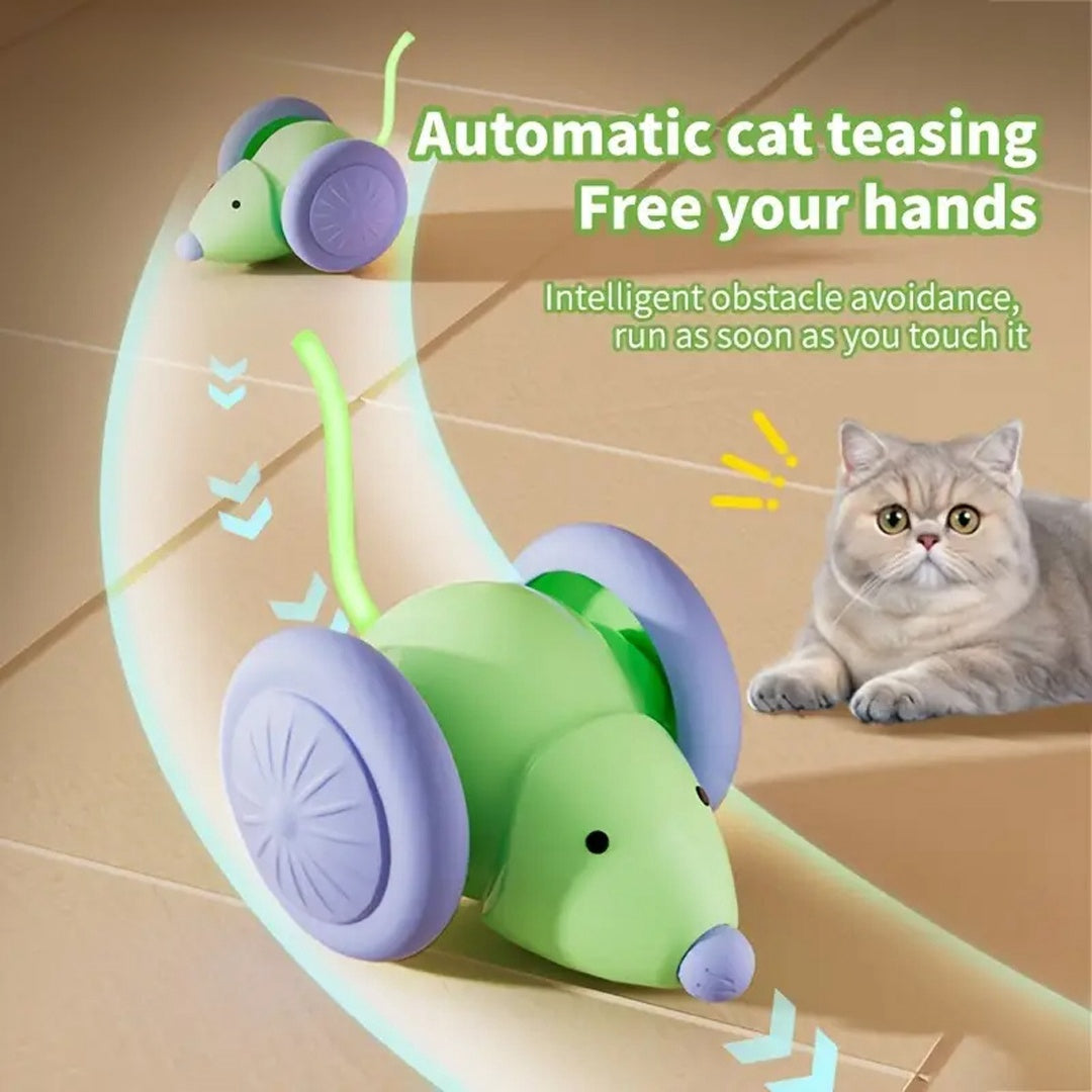 Pet Toys Interactive Cat Toy Electric Mouse Car - Automatic Teaser Pets Gym From House